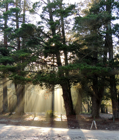  - Bungleboori Camping Ground