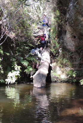  - Thorpes Constriction