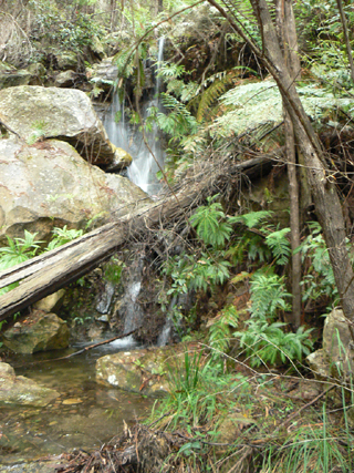  - Penrose Gully South