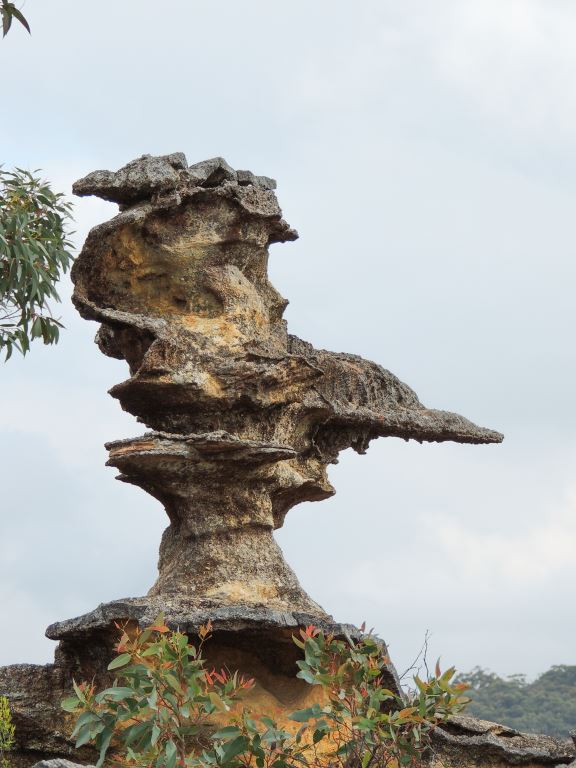 Pointer Rock