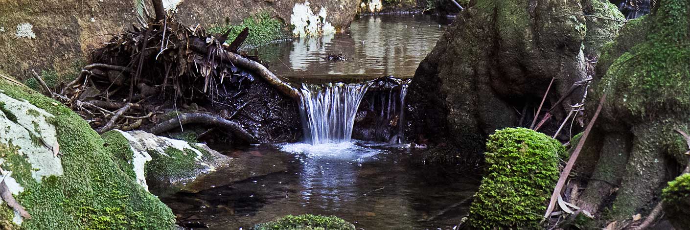 Bungleboori Pool