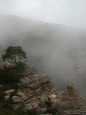 Mt Airly in cloud