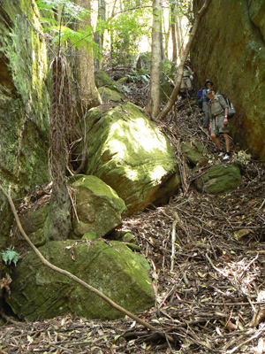 Zobels Gully