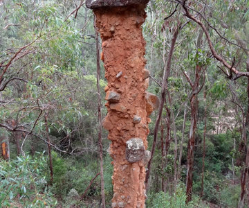 The Totem Pole