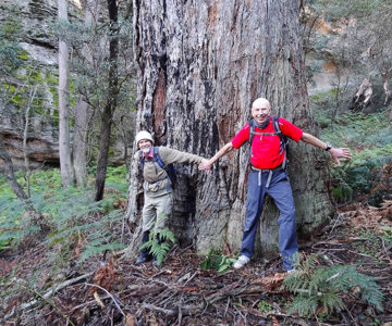 Tree huggers, John Fox and Michael Keats