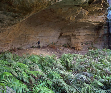 John Fox checking for signs of Aboriginal habitation