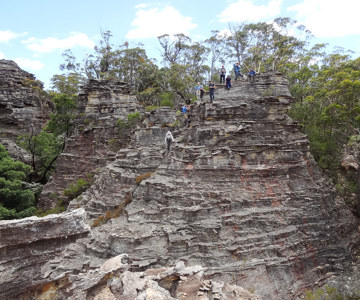 Tiger Snake Point