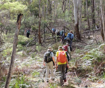 Zobels Gully