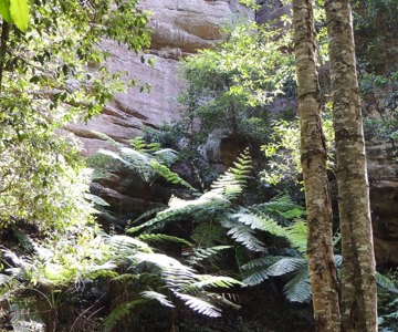 Constance Gorge