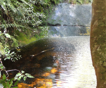 Constance Falls