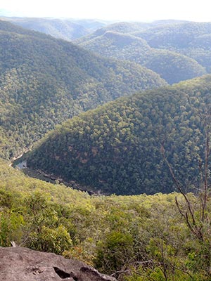 Lower Grose River