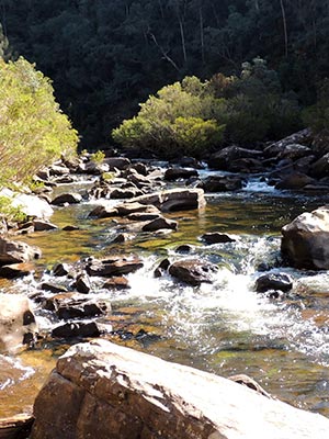 Grose River rapids 