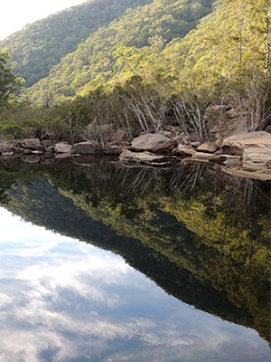 Grose River reflections