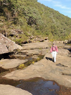 Grose River Rock Shelves