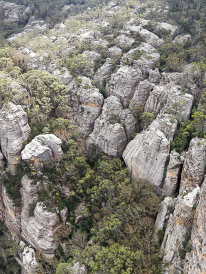 Three Hundred Sisters