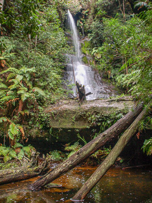 Mitchells Creek Falls