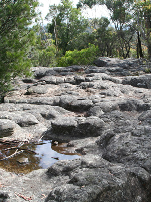 Mt Dingo rock shelf