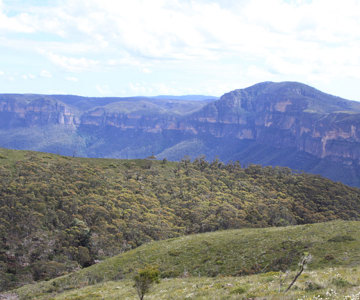 Grose Valley Views