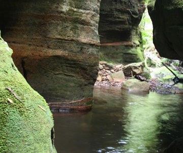 Oronga Canyon