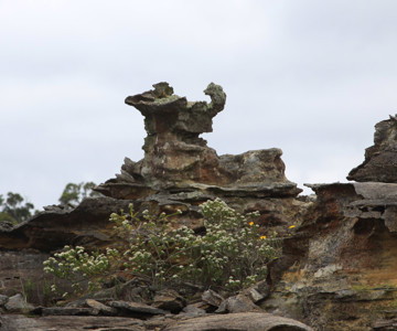 Jungaburra Rock Formations