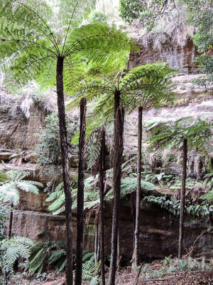 Cathedral Canyon