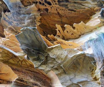 Matisse Caves , detail