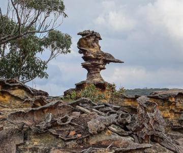 Pointer Rock