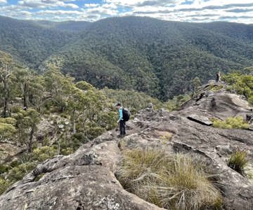 Walks from Bipin