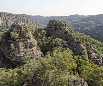 Wollemi Wilderness Adventures