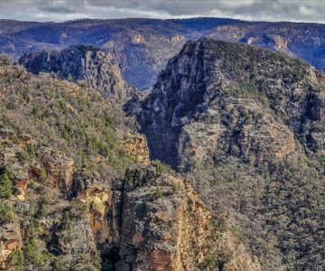 Wollemi Wilderness Adventures
