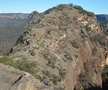 Wollemi Wilderness Adventures