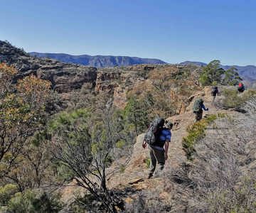 Wollemi Wilderness Adventures