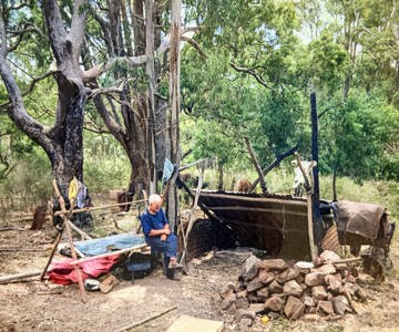 Bush Camp