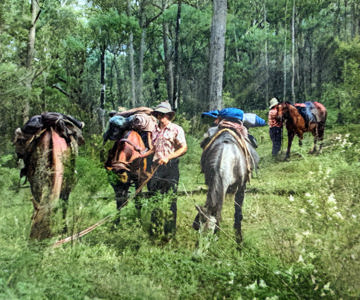 Riders